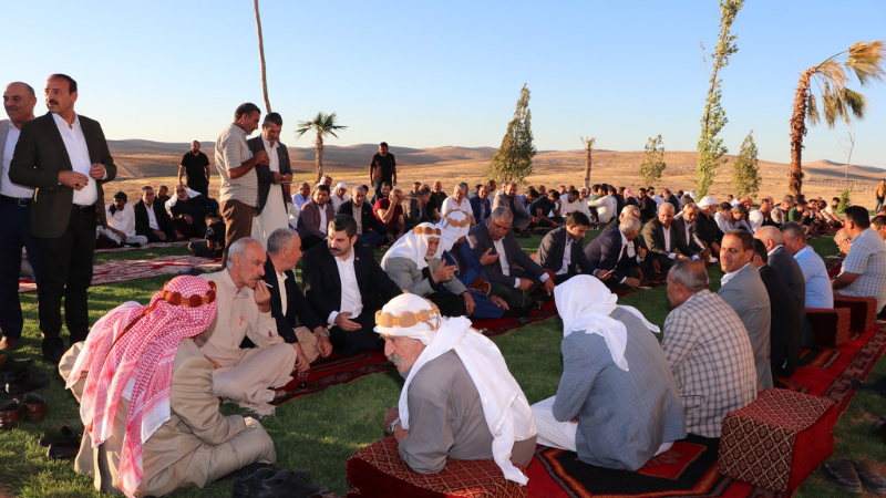Urfa ajans ay