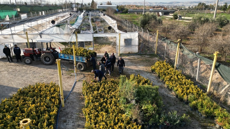 Şanlıurfa Büyükşehir Belediyesi, kentin yeşil alanlarını artırmak ve daha yaşanabilir