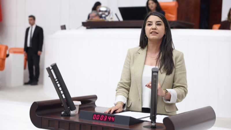 DEM Parti Şanlıurfa Milletvekili Dilan Kunt Ayan, yıllardır tamamlanamayan Ceylanpınar-Kızıltepe