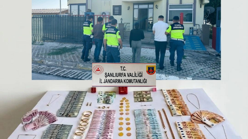 Şanlıurfa’da jandarma ekiplerinin şüphe üzerine durdurduğu ticari araçta çok sayıda