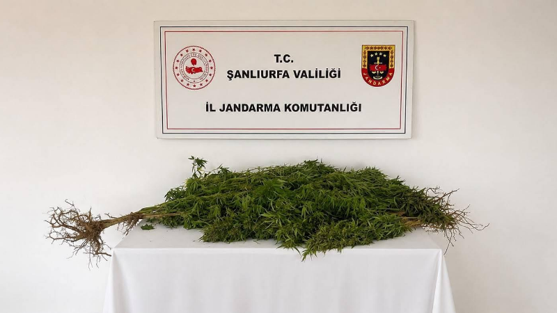 Şanlıurfa İl Jandarma Komutanlığı ekipleri, narkotik suçlarla mücadele kapsamında Eyyübiye