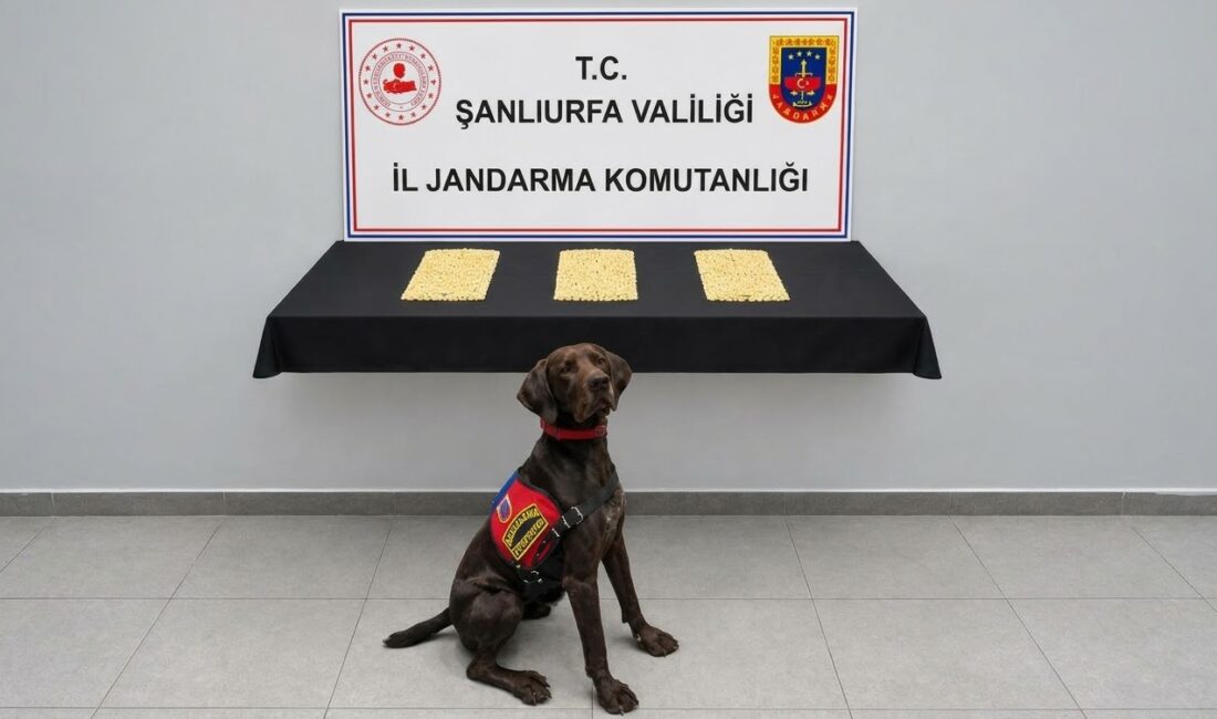 Şanlıurfa’nın Eyyübiye ilçesinde uyuşturucuyla mücadele kapsamında düzenlenen operasyonda 2 bin